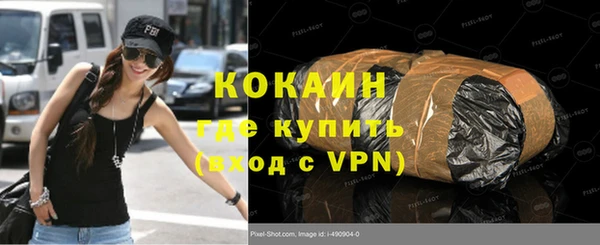 шишки Дмитровск