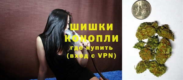гашик Дмитриев