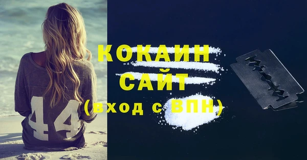 гашик Дмитриев