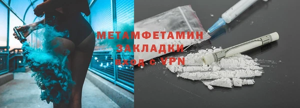 шишки Дмитровск