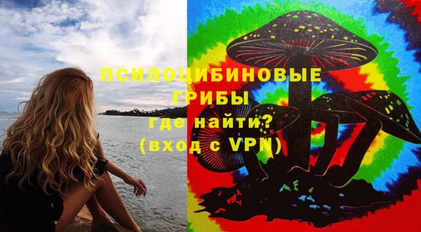 гашик Дмитриев