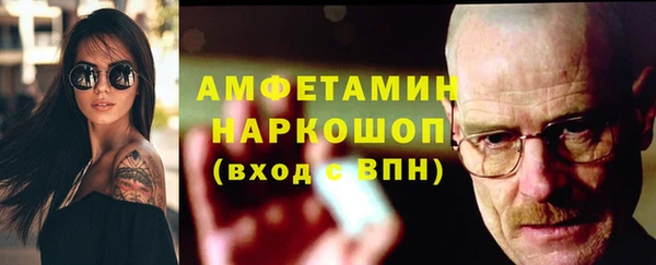 шишки Дмитровск