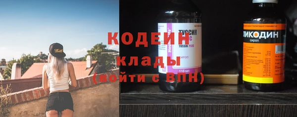 гашик Дмитриев