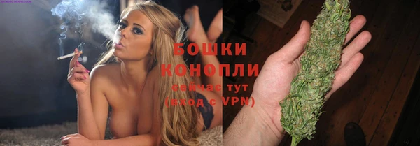 гашик Дмитриев