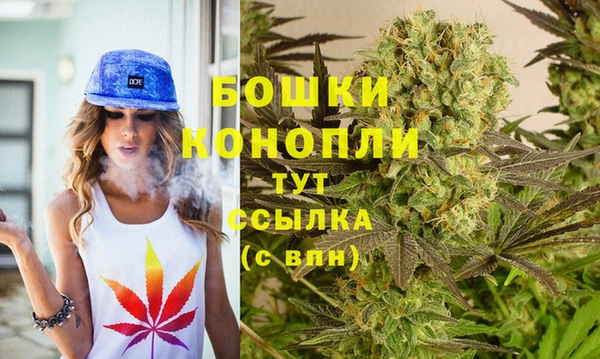 шишки Дмитровск