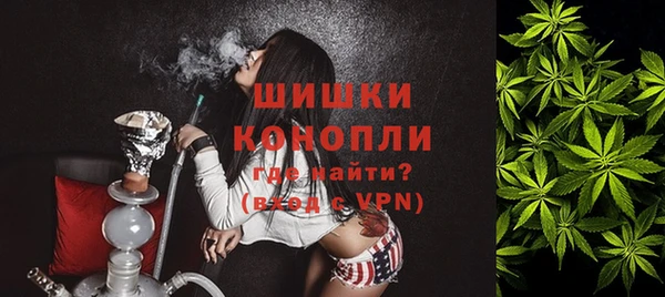 шишки Дмитровск