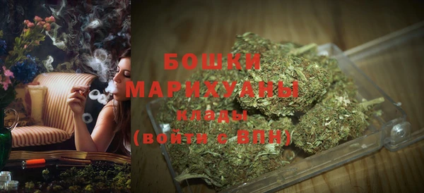 шишки Дмитровск