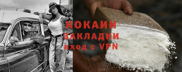 шишки Дмитровск