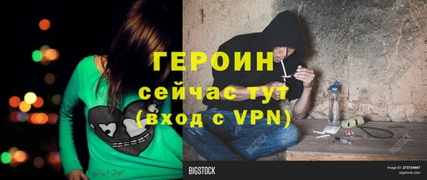 гашик Дмитриев