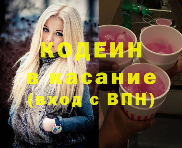 шишки Дмитровск