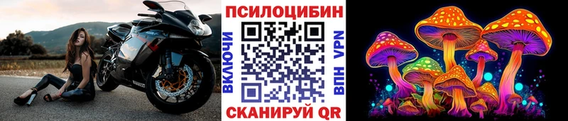 где можно купить   Печоры  Псилоцибиновые грибы Psilocybe 